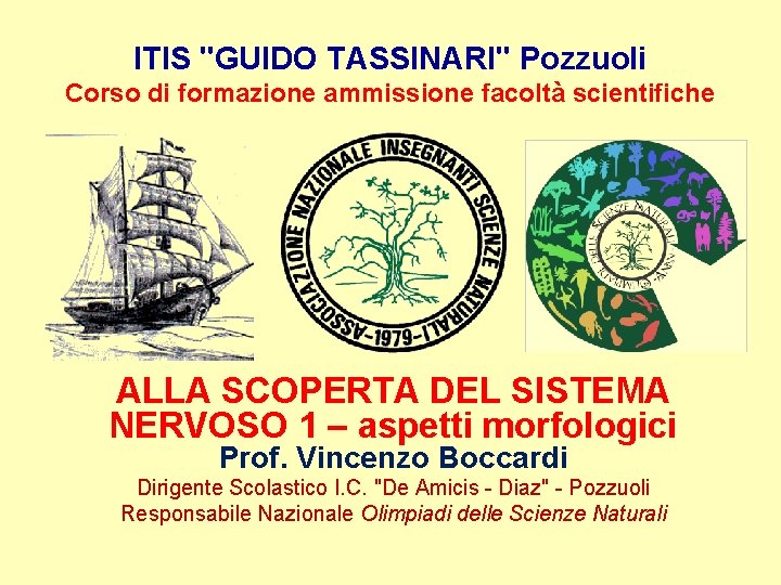 ITIS "GUIDO TASSINARI" Pozzuoli Corso di formazione ammissione facoltà scientifiche ALLA SCOPERTA DEL SISTEMA