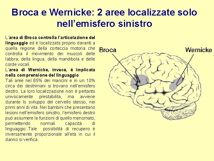 Broca e Wernicke: 2 aree localizzate solo nell’emisfero sinistro L’area di Broca controlla l’articolazione
