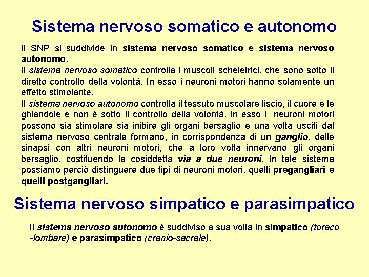 Sistema nervoso somatico e autonomo Il SNP si suddivide in sistema nervoso somatico e