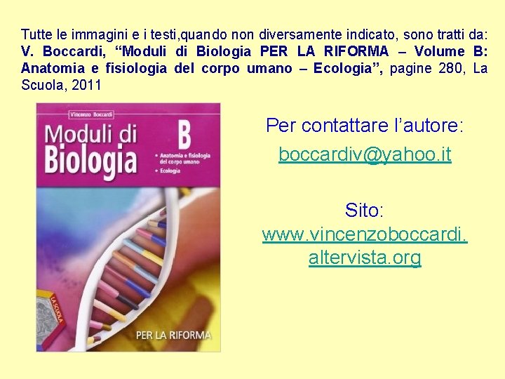 Tutte le immagini e i testi, quando non diversamente indicato, sono tratti da: V.