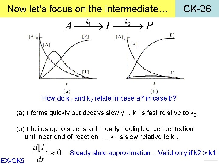 Now let’s focus on the intermediate… CK-26 How do k 1 and k 2