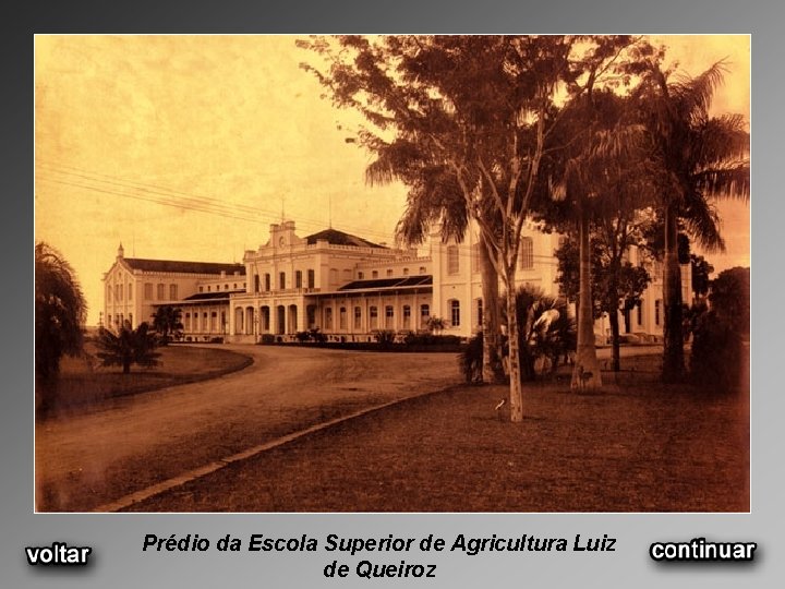 Prédio da Escola Superior de Agricultura Luiz de Queiroz 