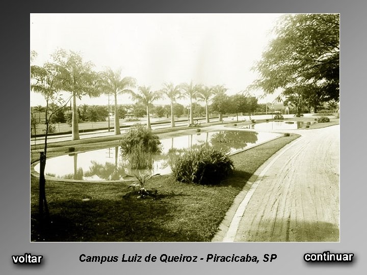 Campus Luiz de Queiroz - Piracicaba, SP 