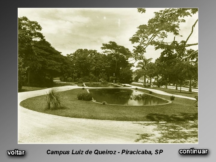 Campus Luiz de Queiroz - Piracicaba, SP 