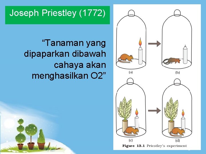 Joseph Priestley (1772) “Tanaman yang dipaparkan dibawah cahaya akan menghasilkan O 2” Powerpoint Templates