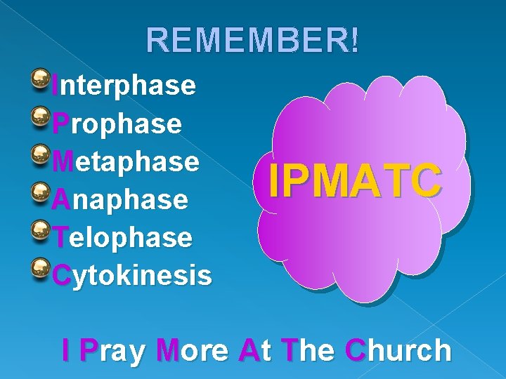 REMEMBER! Interphase Prophase Metaphase Anaphase Telophase Cytokinesis IPMATC I Pray More At The Church