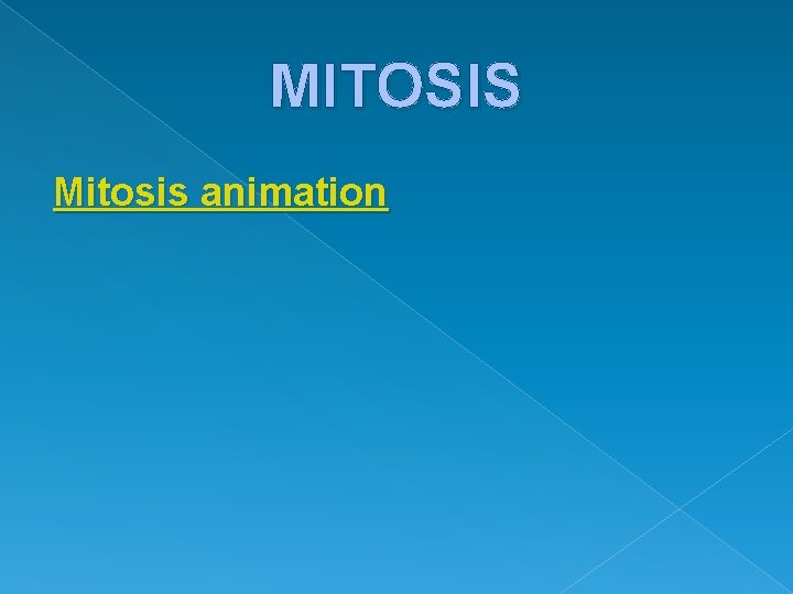 MITOSIS Mitosis animation 