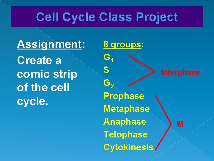 Cell Cycle Class Project Assignment: Create a comic strip of the cell cycle. 8