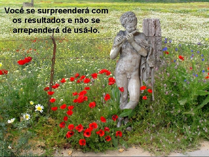 Você se surpreenderá com os resultados e não se arrependerá de usá-lo. Prado Slides