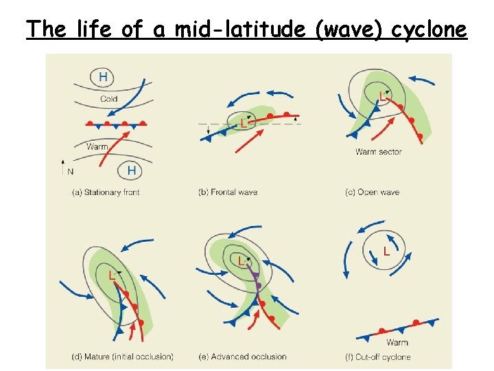 The life of a mid-latitude (wave) cyclone 