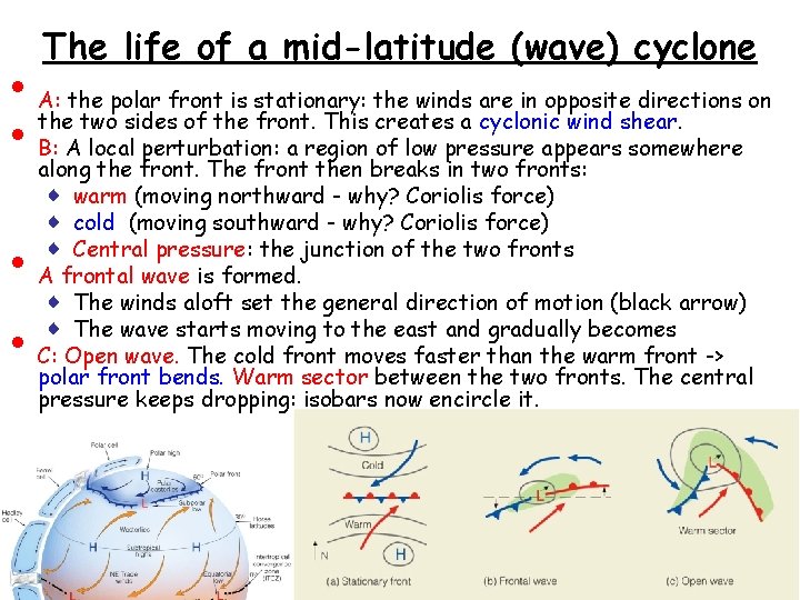  • • The life of a mid-latitude (wave) cyclone A: the polar front