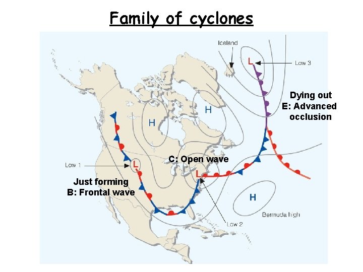Family of cyclones Dying out E: Advanced occlusion C: Open wave Just forming B: