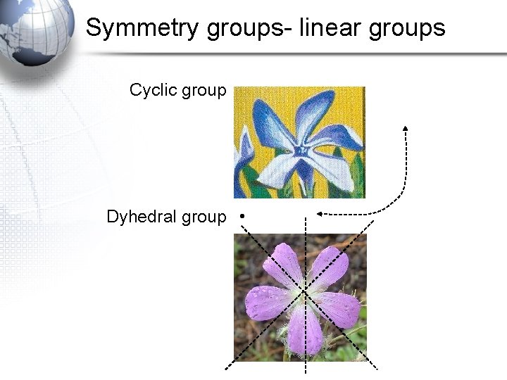 Symmetry groups- linear groups Cyclic group • Dyhedral group • 