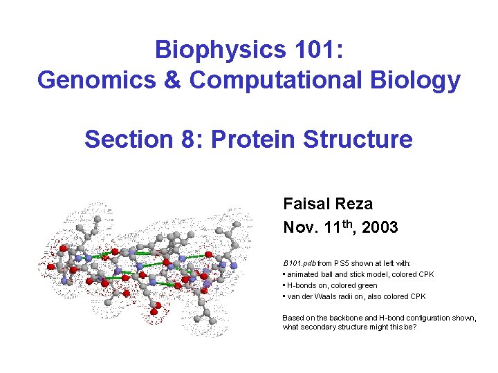 Biophysics 101: Genomics & Computational Biology Section 8: Protein Structure Faisal Reza Nov. 11