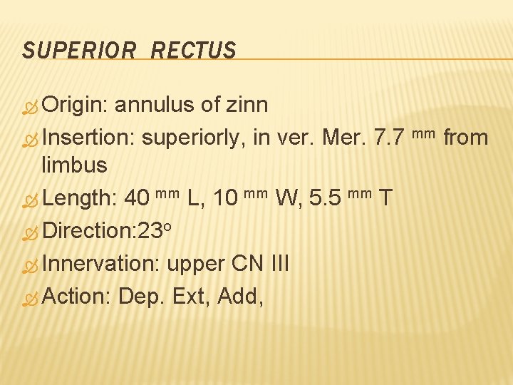 SUPERIOR RECTUS Origin: annulus of zinn Insertion: superiorly, in ver. Mer. 7. 7 mm