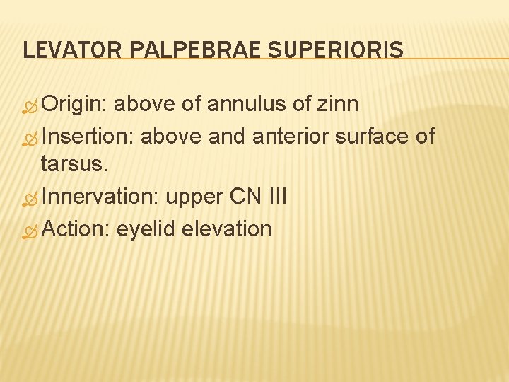LEVATOR PALPEBRAE SUPERIORIS Origin: above of annulus of zinn Insertion: above and anterior surface