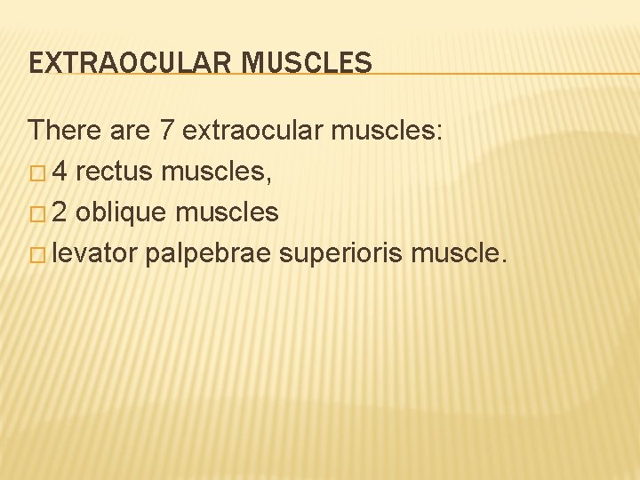 EXTRAOCULAR MUSCLES There are 7 extraocular muscles: � 4 rectus muscles, � 2 oblique