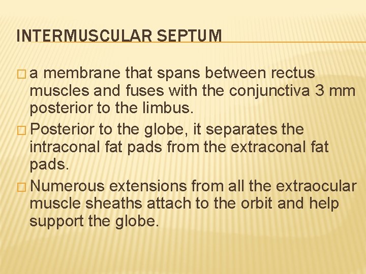 INTERMUSCULAR SEPTUM �a membrane that spans between rectus muscles and fuses with the conjunctiva