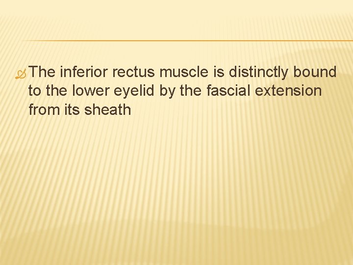  The inferior rectus muscle is distinctly bound to the lower eyelid by the