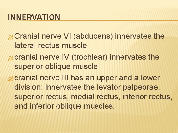 INNERVATION Cranial nerve VI (abducens) innervates the lateral rectus muscle cranial nerve IV (trochlear)