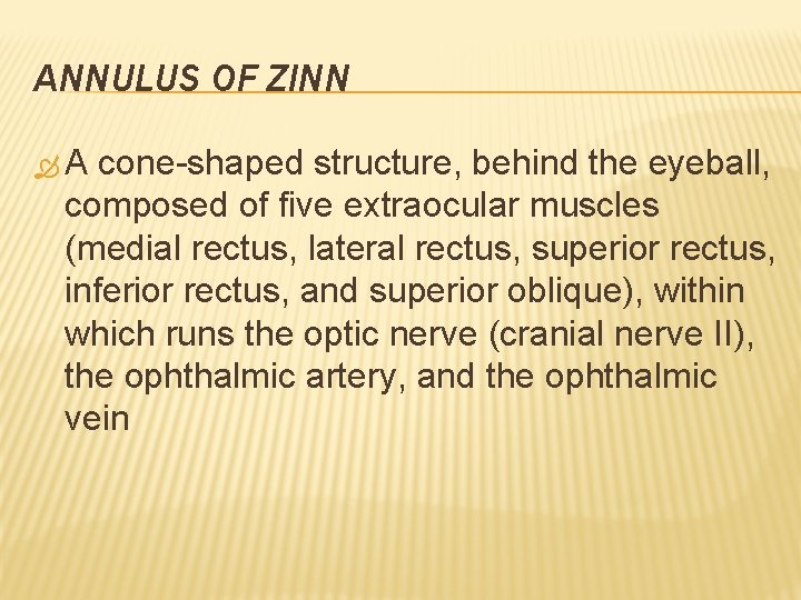 ANNULUS OF ZINN A cone-shaped structure, behind the eyeball, composed of five extraocular muscles