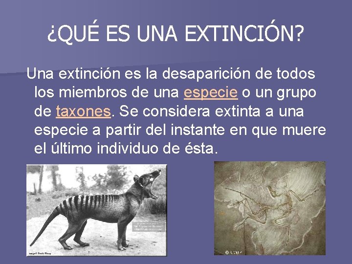 ¿QUÉ ES UNA EXTINCIÓN? Una extinción es la desaparición de todos los miembros de