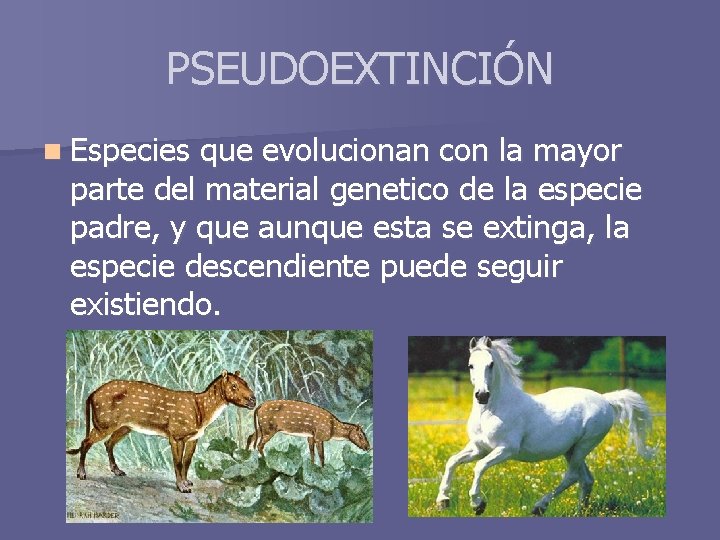 PSEUDOEXTINCIÓN n Especies que evolucionan con la mayor parte del material genetico de la