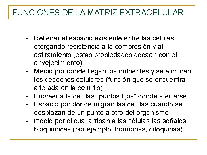 FUNCIONES DE LA MATRIZ EXTRACELULAR • • • Rellenar el espacio existente entre las