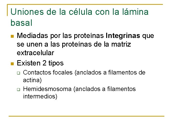 Uniones de la célula con la lámina basal n n Mediadas por las proteínas