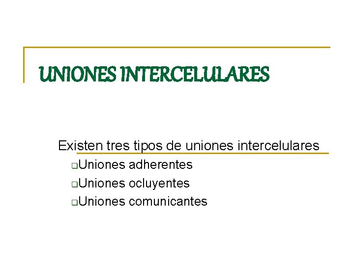 UNIONES INTERCELULARES Existen tres tipos de uniones intercelulares Uniones adherentes q. Uniones ocluyentes q.