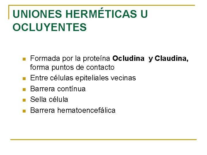 UNIONES HERMÉTICAS U OCLUYENTES n n n Formada por la proteína Ocludina y Claudina,