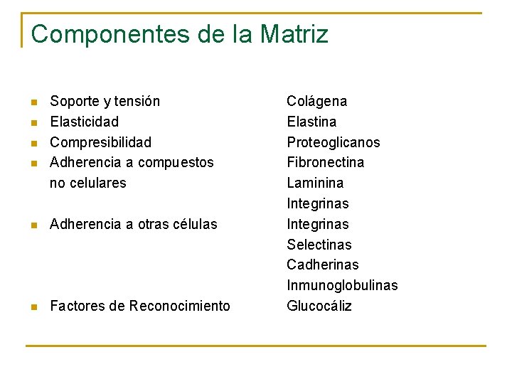 Componentes de la Matriz n n Soporte y tensión Elasticidad Compresibilidad Adherencia a compuestos