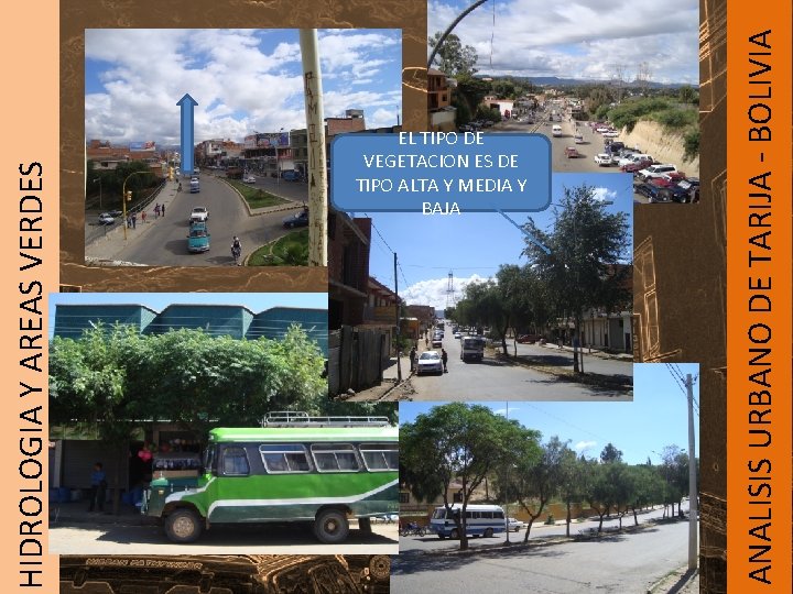 HIDROLOGIA Y AREAS VERDES ANALISIS URBANO DE TARIJA - BOLIVIA EL TIPO DE VEGETACION