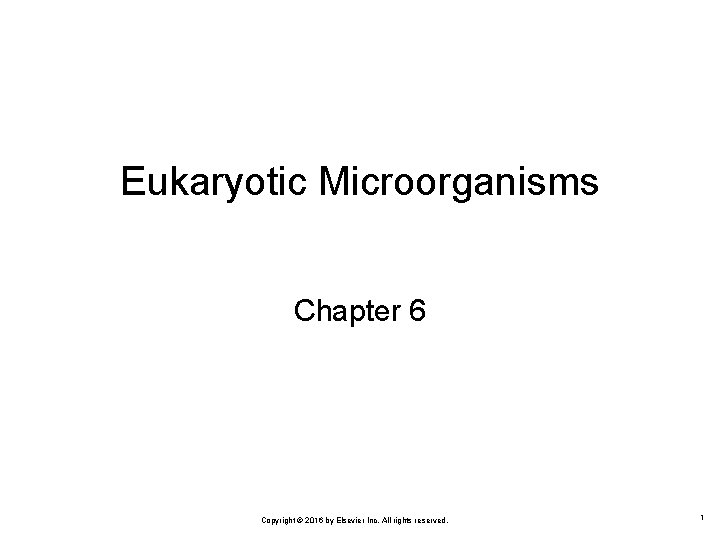 Eukaryotic Microorganisms Chapter 6 Copyrightitems © 2016©by 2010 Elsevier All rights reserved. Mosby items