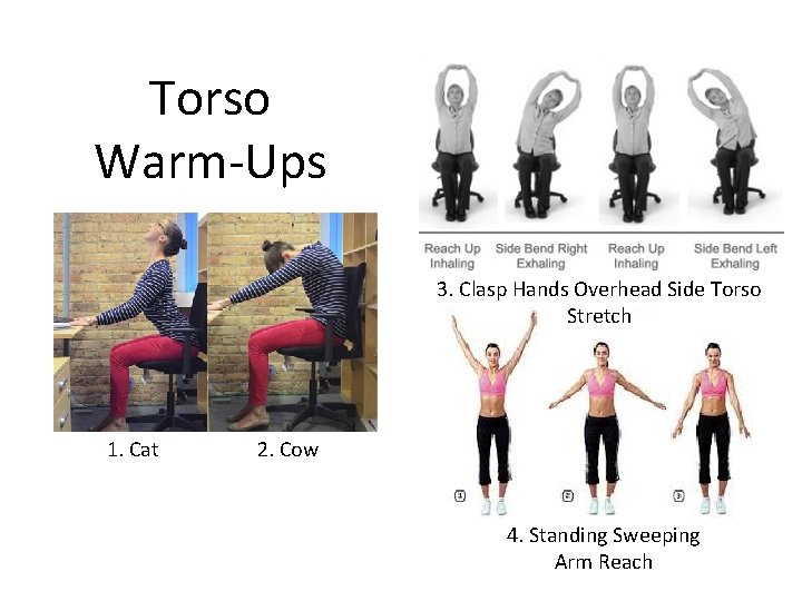 Torso Warm-Ups 3. Clasp Hands Overhead Side Torso Stretch 1. Cat 2. Cow 4.