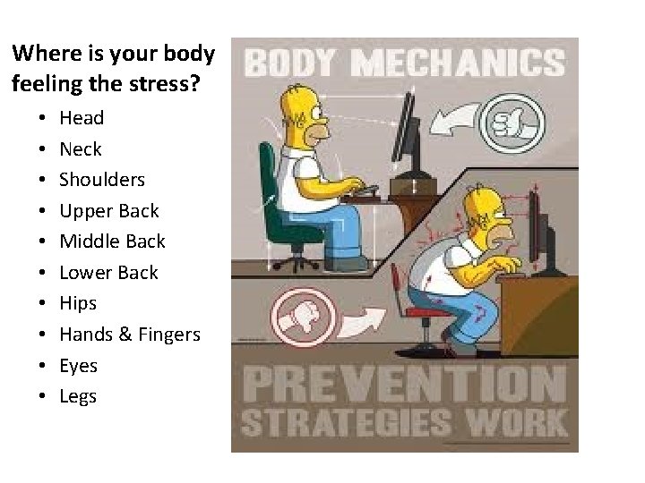 Where is your body feeling the stress? • • • Head Neck Shoulders Upper