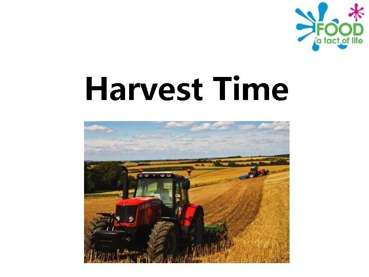 Harvest Time 