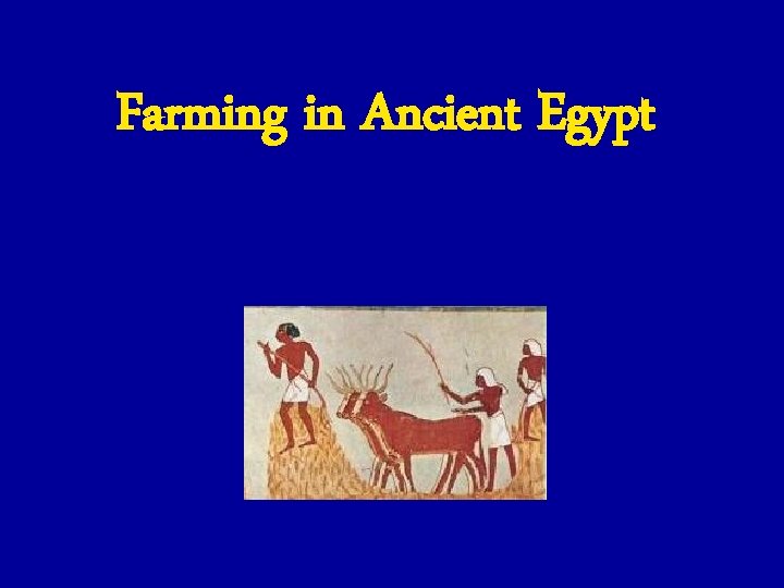 Farming in Ancient Egypt 