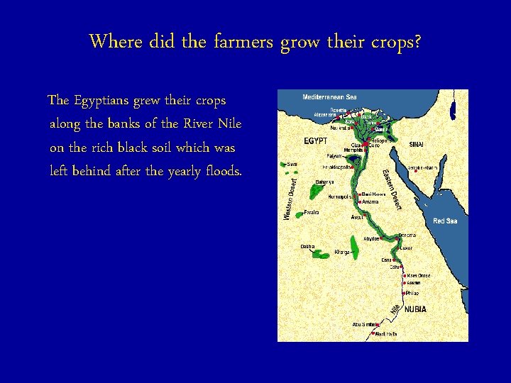 Where did the farmers grow their crops? The Egyptians grew their crops along the