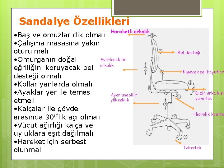 Sandalye Özellikleri Hareketli arkalık • Baş ve omuzlar dik olmalı • Çalışma masasına yakın