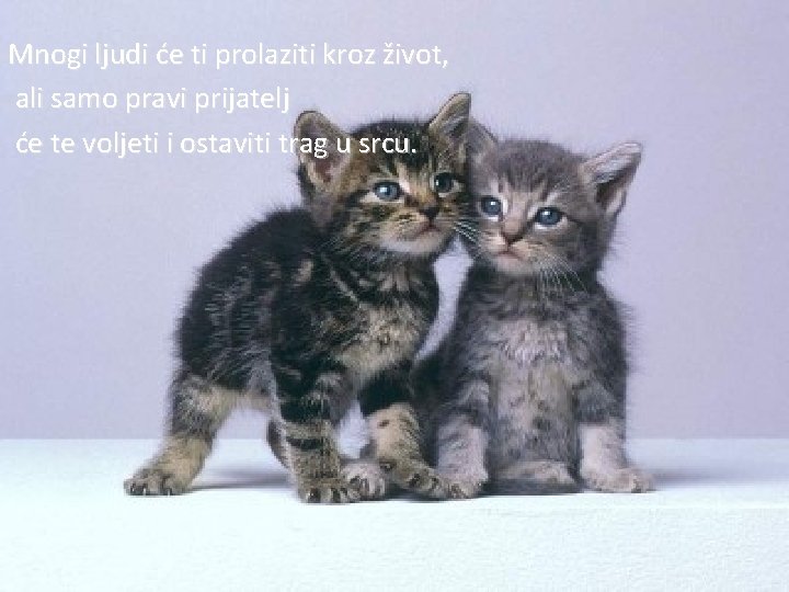 Mnogi ljudi će ti prolaziti kroz život, ali samo pravi prijatelj će te voljeti