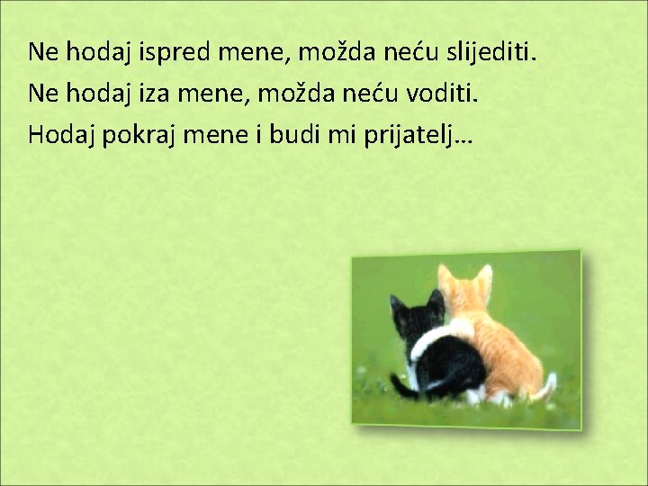 Ne hodaj ispred mene, možda neću slijediti. Ne hodaj iza mene, možda neću voditi.