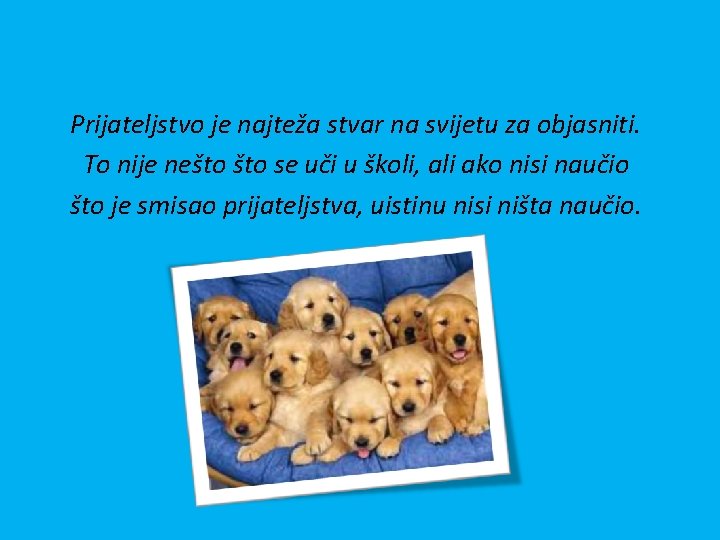 Prijateljstvo je najteža stvar na svijetu za objasniti. To nije nešto se uči u