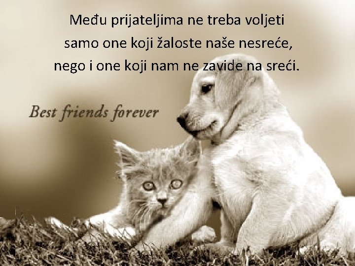 Među prijateljima ne treba voljeti samo one koji žaloste naše nesreće, nego i one