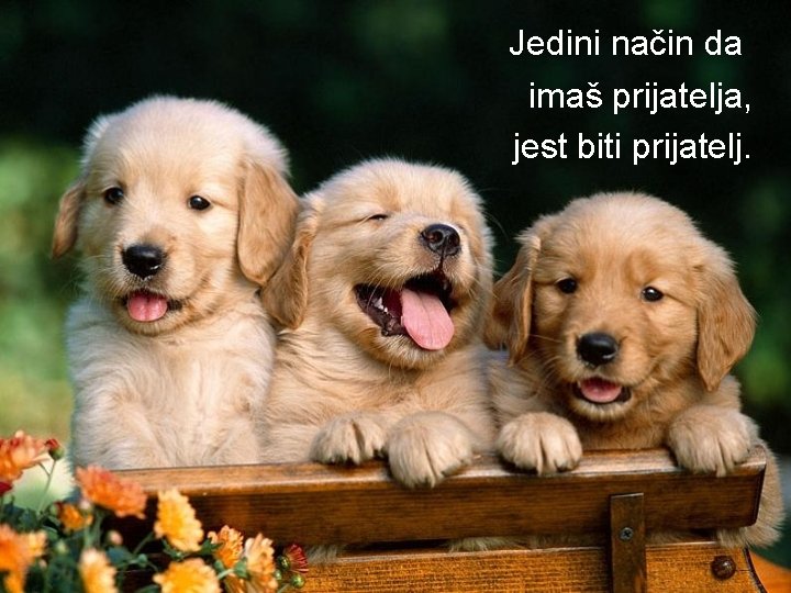 Jedini način da imaš prijatelja, jest biti prijatelj. 