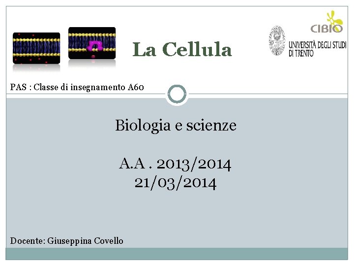 La Cellula PAS : Classe di insegnamento A 60 Biologia e scienze A. A. La Cellula PAS : Classe di insegnamento A 60 Biologia e scienze A. A.