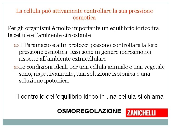 La cellula può attivamente controllare la sua pressione osmotica Per gli organismi è molto La cellula può attivamente controllare la sua pressione osmotica Per gli organismi è molto