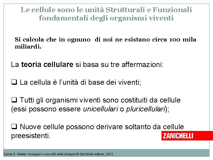 Le cellule sono le unità Strutturali e Funzionali fondamentali degli organismi viventi Si calcola Le cellule sono le unità Strutturali e Funzionali fondamentali degli organismi viventi Si calcola