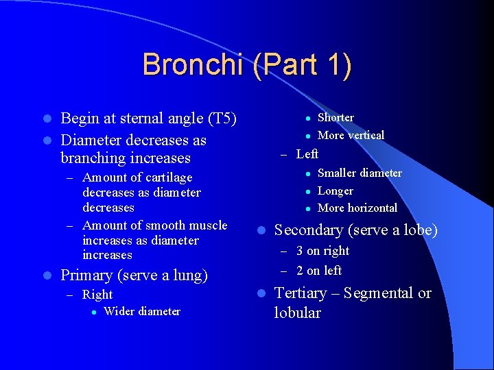 Bronchi (Part 1) Begin at sternal angle (T 5) l Diameter decreases as branching