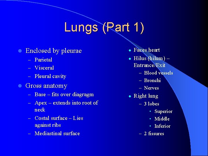 Lungs (Part 1) l Enclosed by pleurae – Parietal l l – Visceral –